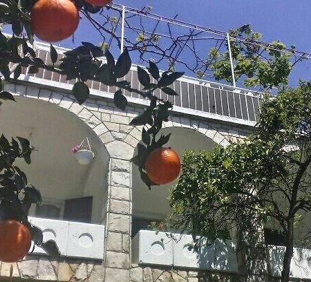 House Orange Apartments تْشيرسيك نوفي المظهر الخارجي الصورة