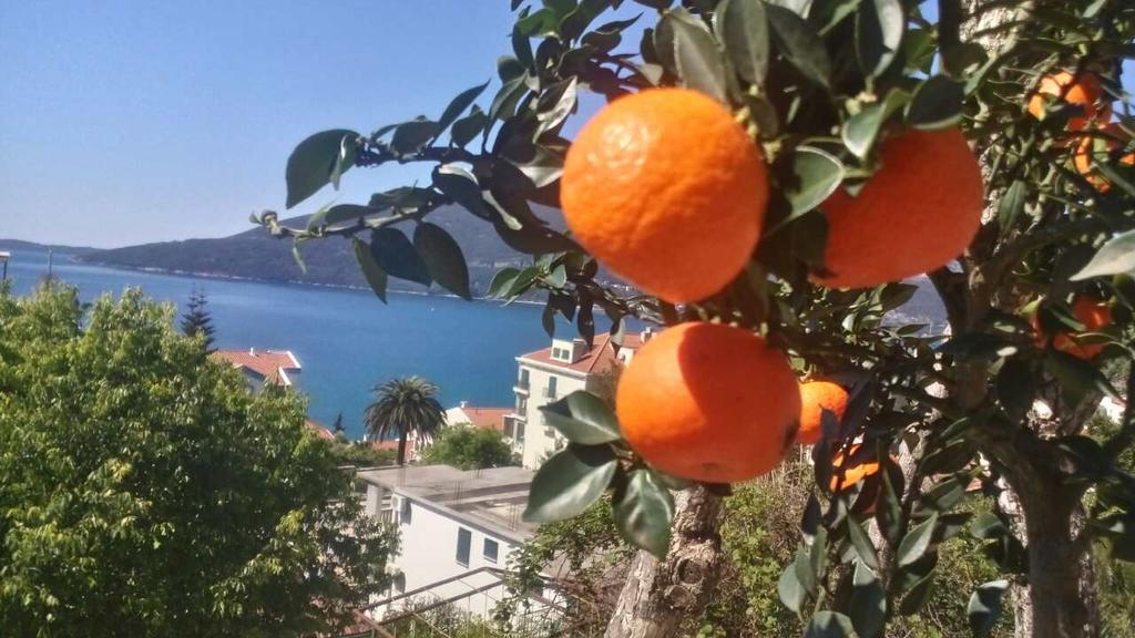 House Orange Apartments تْشيرسيك نوفي المظهر الخارجي الصورة