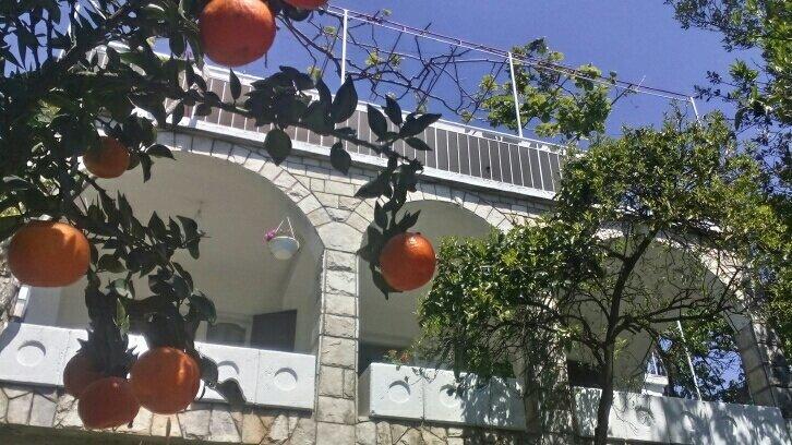 House Orange Apartments تْشيرسيك نوفي المظهر الخارجي الصورة