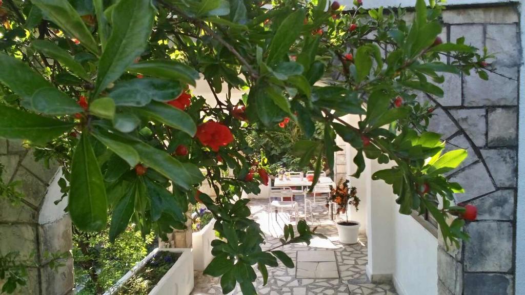 House Orange Apartments تْشيرسيك نوفي المظهر الخارجي الصورة
